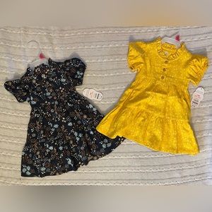 NWT Dresses size 18MO
